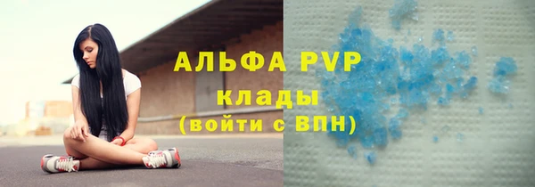 СК Щигры