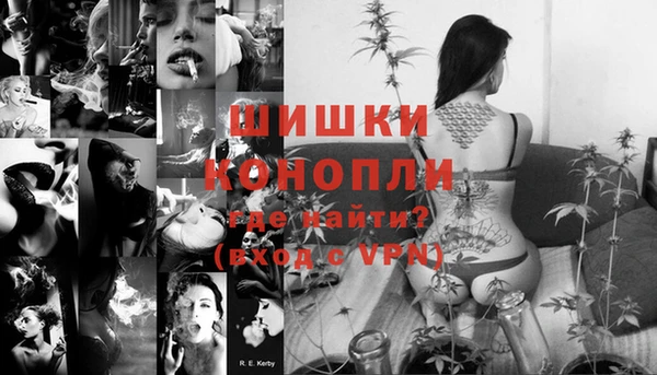 тгк Гусев