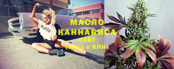 тгк Гусев