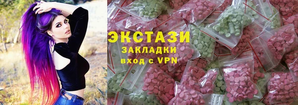 тгк Гусев
