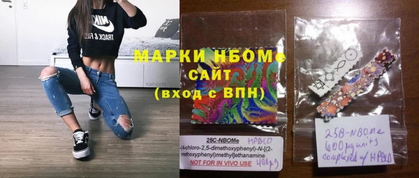 тгк Гусев
