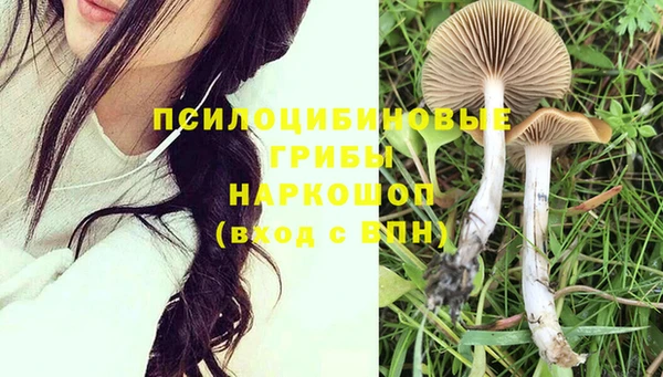стафф Гусь-Хрустальный