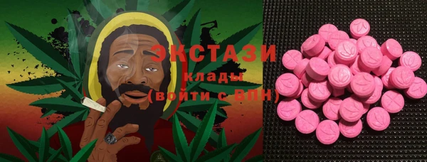 тгк Гусев
